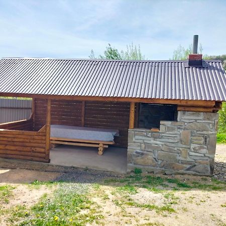 "Бджілка" І " Садиба Для Відпочинку" Lyuta Exterior photo
